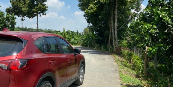 Bán Vườn bưởi Bình Lợi, Vĩnh Cữu, 2300m sổ riêng, giá chỉ 5ty8