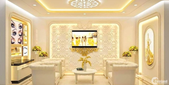 Bán Nhà Phố Liễu Giai, Nhà Dát Vàng, Đỉnh Cao Chât Lượng