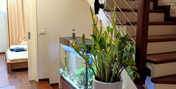 bán nhà Trần Đăng Ninh 60m2 6 tầng 14p cho thuê đươc. 45tr/tg