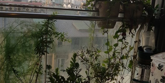 Bán gấp chung cư TSQ 69m2 full nội thất – vào ở luôn, giá 1.55 tỷ