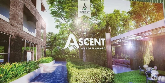 Dân tình đổ nhau cọc dự án Ascent Garden Homes với giá 40trr/m2 bao gồm VAT