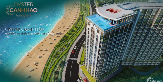 Sở Hữu Căn Hộ Du Lịch Mặt Tiền Biển Vũng Tàu-Oyster Gành Hào