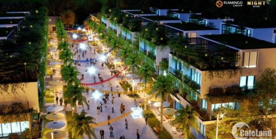 CHỈ TỪ 2,3 TỶ SỞ HỮU LÂU DÀI SHOPHOUSE FLAMINGO ĐẠI LẢI,CAM KẾT 300TR/NĂM.