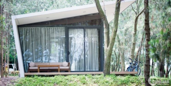 BIỆT THỰ FLAMINGO ĐẠI LẢI DUY NHẤT 2 SUẤT NGOẠI GIAO SỔ ĐỎ VĨNH VIỄN GIÁ 2,8 TỶ