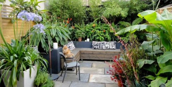 BÁN LÔ ĐẤT GIÁ MỀM THÍCH HỢP XÂY DỰNG BIỆT THỰ SÂN VƯỜN TẠI DƯƠNG KINH.