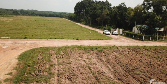 CÒN DUY NHẤT 1 LÔ 1000M2 2 MẶT TIỀN ĐƯỜNG GIÁ CHỈ 530TR SỔ SẴN