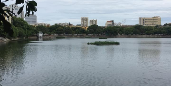 Phân lô quân đội, Trần Hữu Tước, Hồ Đắc Di, sổ đỏ, ô tô vào