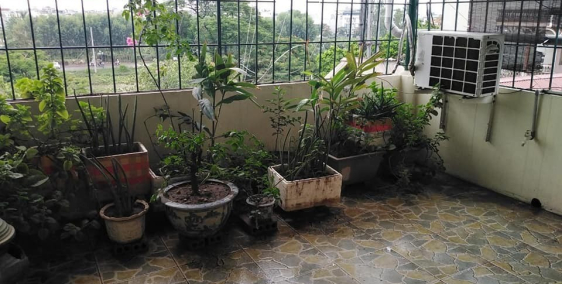 Siêu Hiếm! 3 Mặt Thoáng Diện Tích Rộng Nhỉnh 3 Tỷ Kim Giang 65m2*4 Tầng