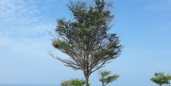 Bán đất biển Mũi Né, Phan Thiết, Bình Thuận