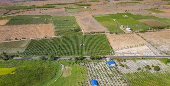 Bán lô đất 1000m2 chỉ 60 Triệu - Đã có sổ đỏ - Bao phí sang tên - LH 0907113391