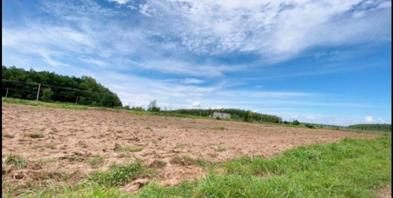 Chỉ còn 5 lô giá rẻ, chỉ bán trong ngày duy nhất, sổ sẵn, công chứng ngay