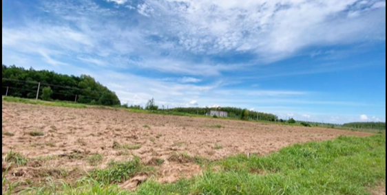 Chỉ còn lô cuối cho anh chị đầu tư, giá rẻ, sổ sẵn, ngân hàng hỗ trợ