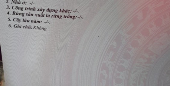 đất TT Cần Đước giá mềm nhất, 9.5tr/m, SHR