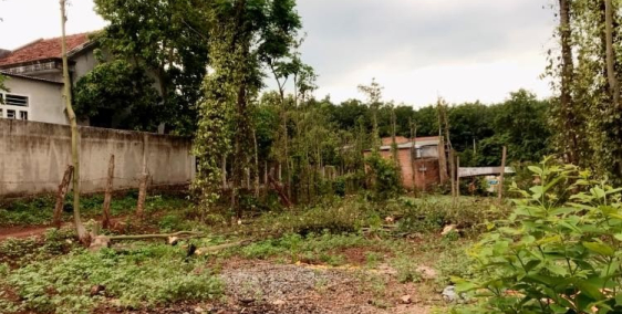 đất đẹp tại xã quảng thành, chính chủ, không cò lái