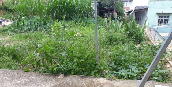 Bán đất giá hạt dẻ đường Cao Thắng, P.7, Đà Lạt