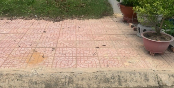 đất thành phố đồng xoài giá đầu tư