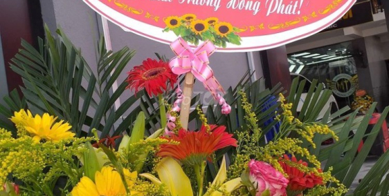 Cần nhượng lại lô đất vị trí đẹp tại khu đô thị Đồng Văn Xanh đường Phạm Ngọcnhi