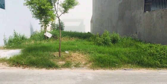 Bán lại miếng đất Bình Chánh, kich thước 5x16, sổ riêng, bao sang tên.