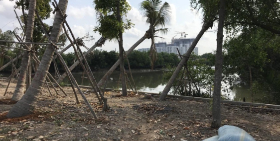 Bán lô góc 2 MT đường HTX Bờ Bao Phong Phú Bình Chánh