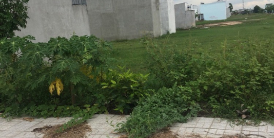 Đất SRH Đường Lê Văn Khương Gía 900TR DT: 5X16M