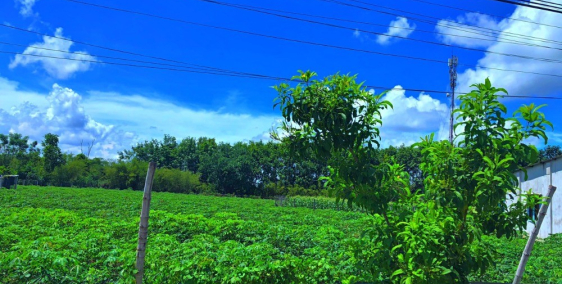 ƯU ĐÃI VÀNG THÁNG 7!!!!! 189m2 đất Thành Phố, QL22, SHR, sang tên công chứng nga