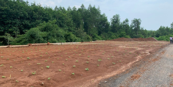 2 sào (2040m2) Tân Hiệp, Long Thành, Đồng Nai. Đường ô bàn cờ -Tel: 098.336.9994