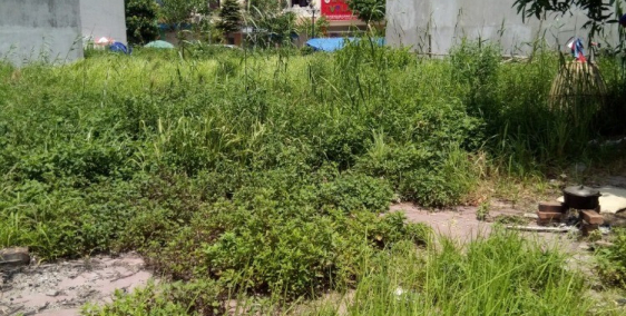 Bán đất mặt tiền đường ô tô ngay sát gần chợ Bao Bì