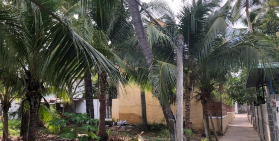 Bán đất 575m2 đường Nguyễn Đình Chiểu - Mũi Né 10tr/m2