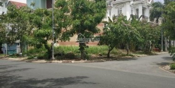 Bán đất biệt thự cao cấp kdc Tấn Trường ,ngang 10 x 20m, giá : 70tr/m