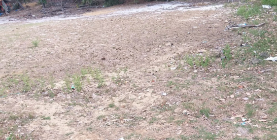 Bán đất mặt tiền, phía sau đất rừng