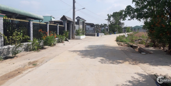 Đất Vĩnh Tân - Đất Vĩnh Tân - Đất Vĩnh Tân