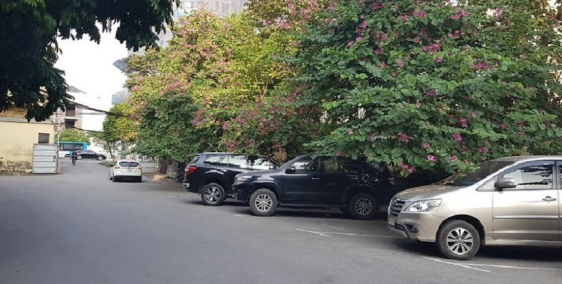 Bán thửa đất Xuân La lô góc, mặt tiền 10.6m ngõ ô tô tránh, 3 mặt thoáng