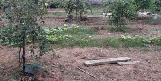 Tôi cần bán nhà đất xã Cao Ngạn, Thái Nguyên, diện tích 1.500m2, giá 2.4 tỷ