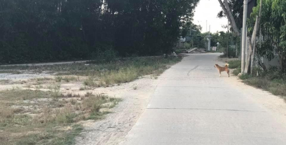 đất nền nghĩa thắng khu dân cư giá rẻ