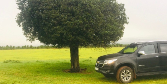 LÔ ĐẤT VUON 245 TRIỆU - 3000M2 BÌNH THUẬN . SỔ ĐỎ CÔNG CHỨNG