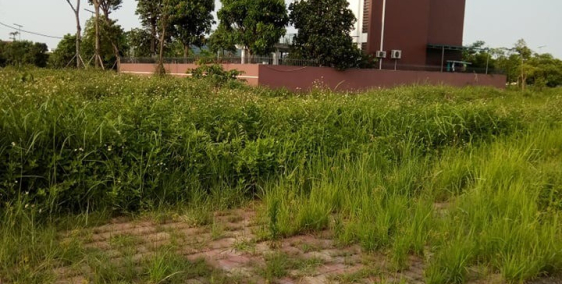 Bán gấp lô đất xây biệt thự tại đô thị New City Phố Nối, Yên Mỹ, Hưng Yên