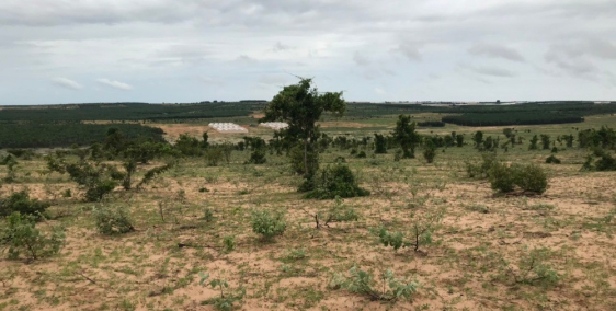 Bán lô đẹp đất nông nghiệp sông luỹ đối diện trang trại chỉ 610tr Lh 0938677909