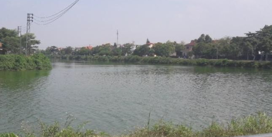 Cần tiền giải quyết việc bán đất 1000m,cần Đước, ngay Cảng -520triệu- 0933644449