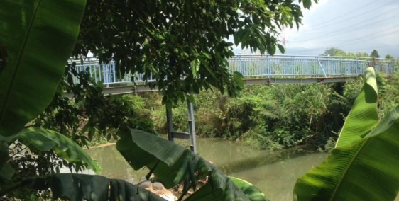 Bán đất gồm: nhà, vườn thanh long, dừa, mít,... (có điện bình 100 KVA)