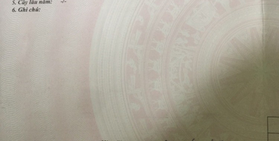 Bán mảnh đất tại Bình Thuận đầu tư sinh lời cao