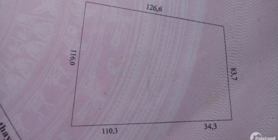 CHÍNH CHỦ CẦN RA #NHANH ĐẤT TẠI KHU KINH TẾ MỚI THUỘC BÌNH THUẬN.