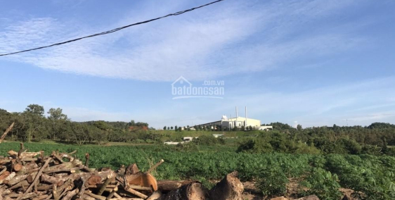 Cần bán gấp hơn 1 sào đất Phước Bình gần KCN. Giá hạt dẻ