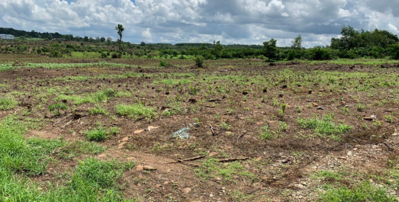 KẸT TIỀN NÊN TÔI BÁN 1000M2 ĐẤT CHÍNH CHỦ SỔ HỒNG GIÁ RẺ 990TR