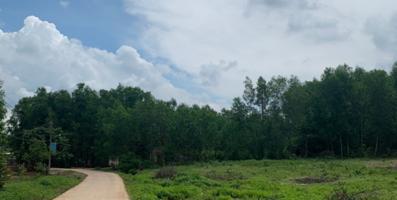 Bán 1 sào (1000m2) có sổ hồng ngay sân bay Long Thành, Đồng Nai.Tel: 0983369994