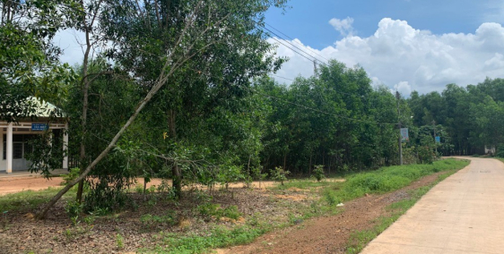 1 sào (1000m2) đất Long Thành, Đồng Nai bán gấp chỉ 1,95 tỷ sổ hồng ở khu dân cư