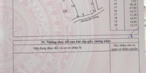 Cần bán đất vườn 3 ha đang trồng điều .