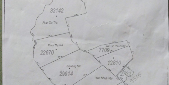 Muốn sang lại 17ha đất cây lâu năm cạnh Sông Ray, Xuyên mộc giá rẻ bèo bọt.