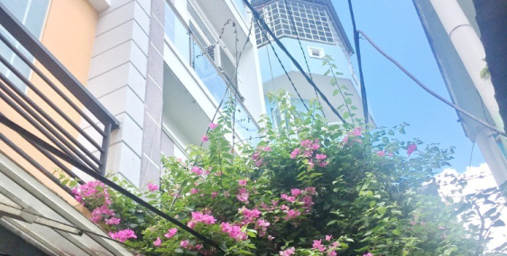 Cho thuê nhà mới 2 lầu gần mặt tiền Dương Bá Trạc Phường 1 Quận 8