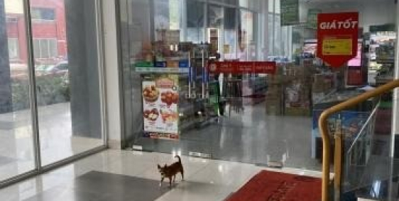 Bán gấp mặt bằng 240m2 đang cho Vinmart thuê gần ngay bệnh viện Đa Khoa ĐN