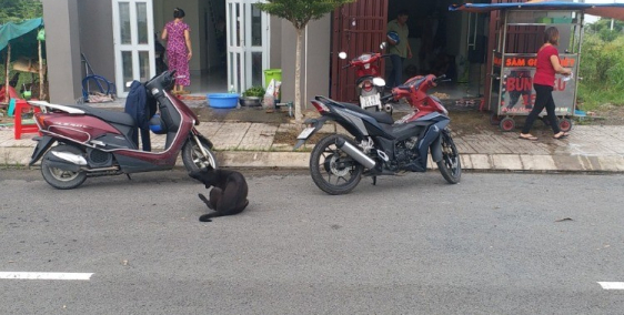 TÔI CHÍNH CHỦ KẸT TIỀN CẦN BÁN GẤP CĂN NHÀ